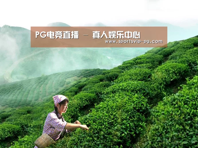 PG电竞直播 - 真人娱乐中心