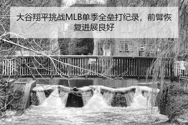 da-gu-xiang-ping-tiao-zhan-dan-ji-quan-lei-da-ji-lu-qian-bi-hui-fu-jin-zhan-liang-hao-2-481.jpg