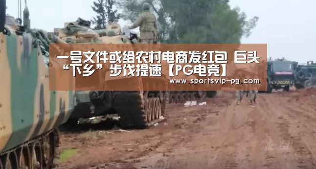 一号文件或给农村电商发红包 巨头“下乡”步伐提速【PG电竞】(图1) PG登录
