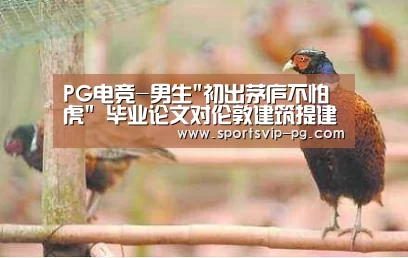 PG电竞-男生初出茅庐不怕虎 毕业论文对伦敦建筑提建议(图3) PG登录