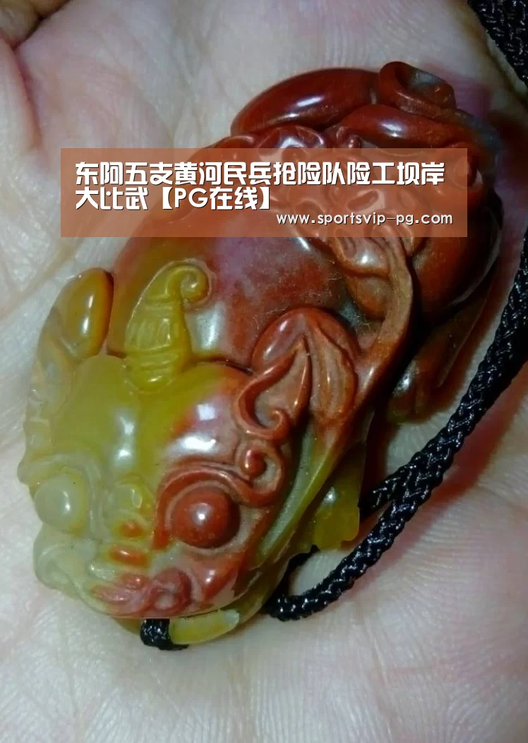 东阿五支黄河民兵抢险队险工坝岸大比武【PG在线】(图1) PG娱乐