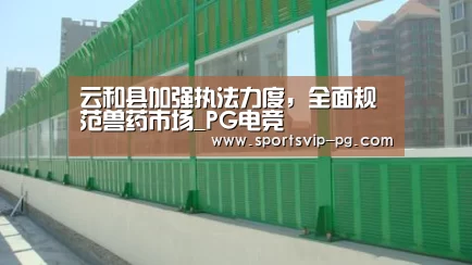 PG电竞