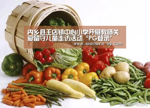 内乡县王店镇中心小学开展教师关爱留守儿童走访活动‘PG登录’