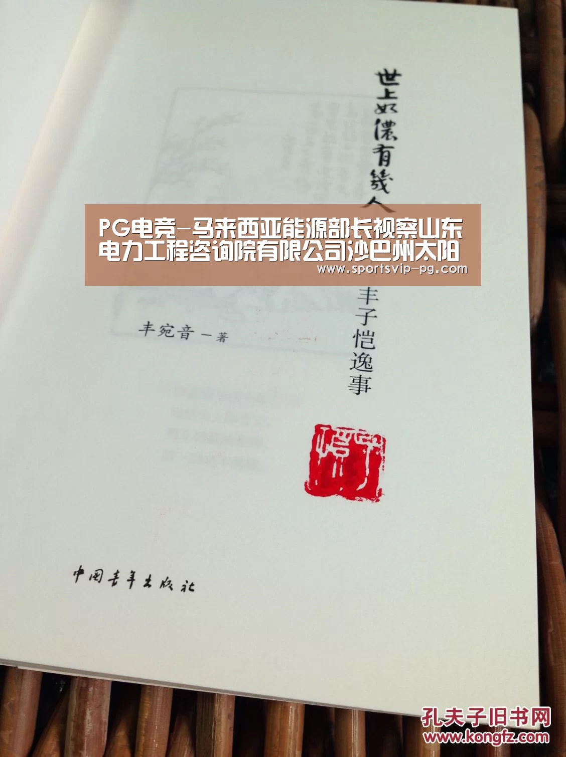 PG在线